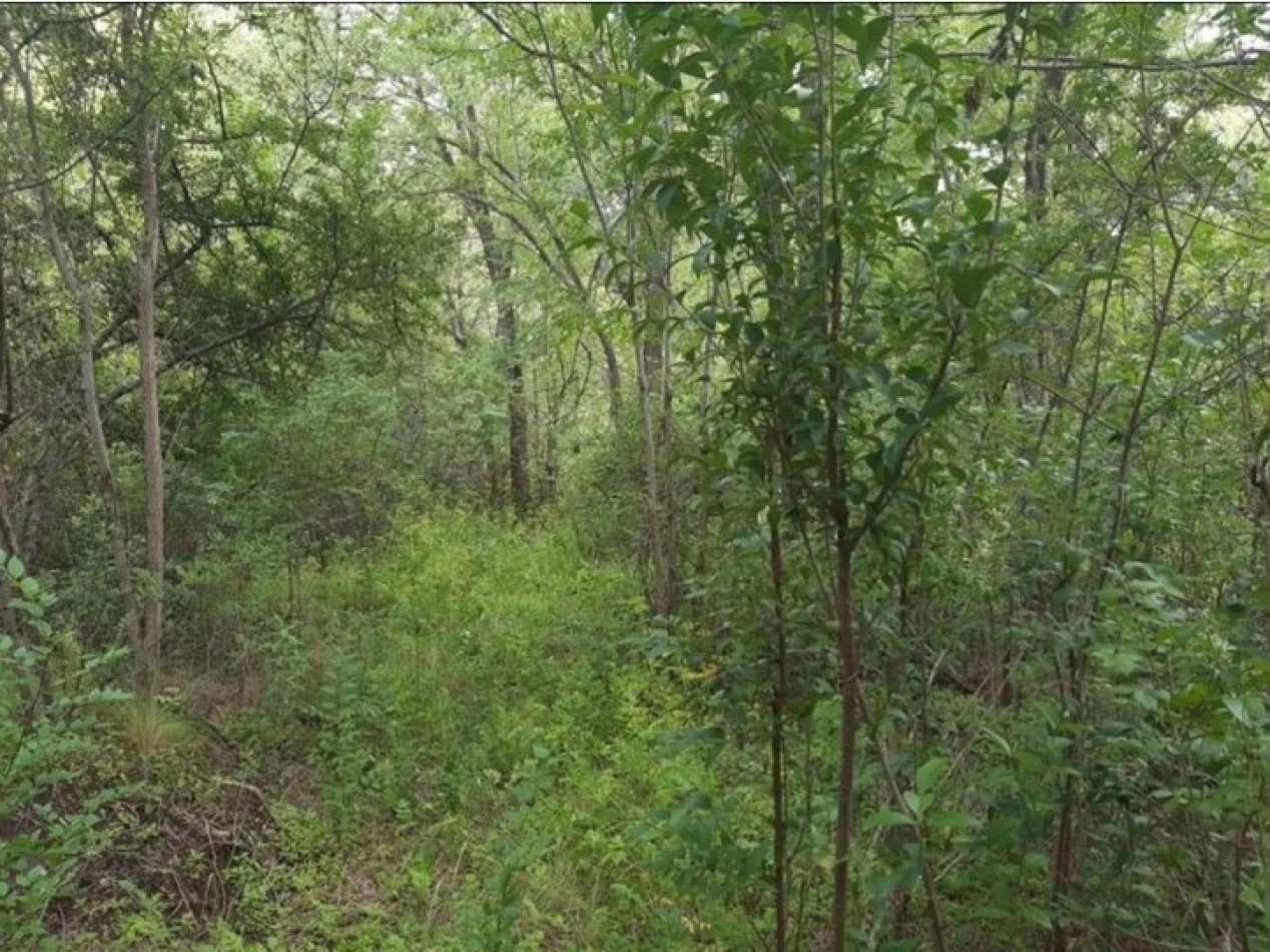 OPORTUNIDAD UNICA | Lote de 0.9 Ha con 180m Costa de Rio Dolores - San Roque / Punilla