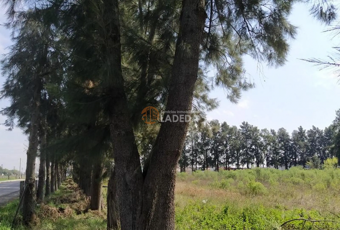 Lote Pinar de Lagos - General Lagos