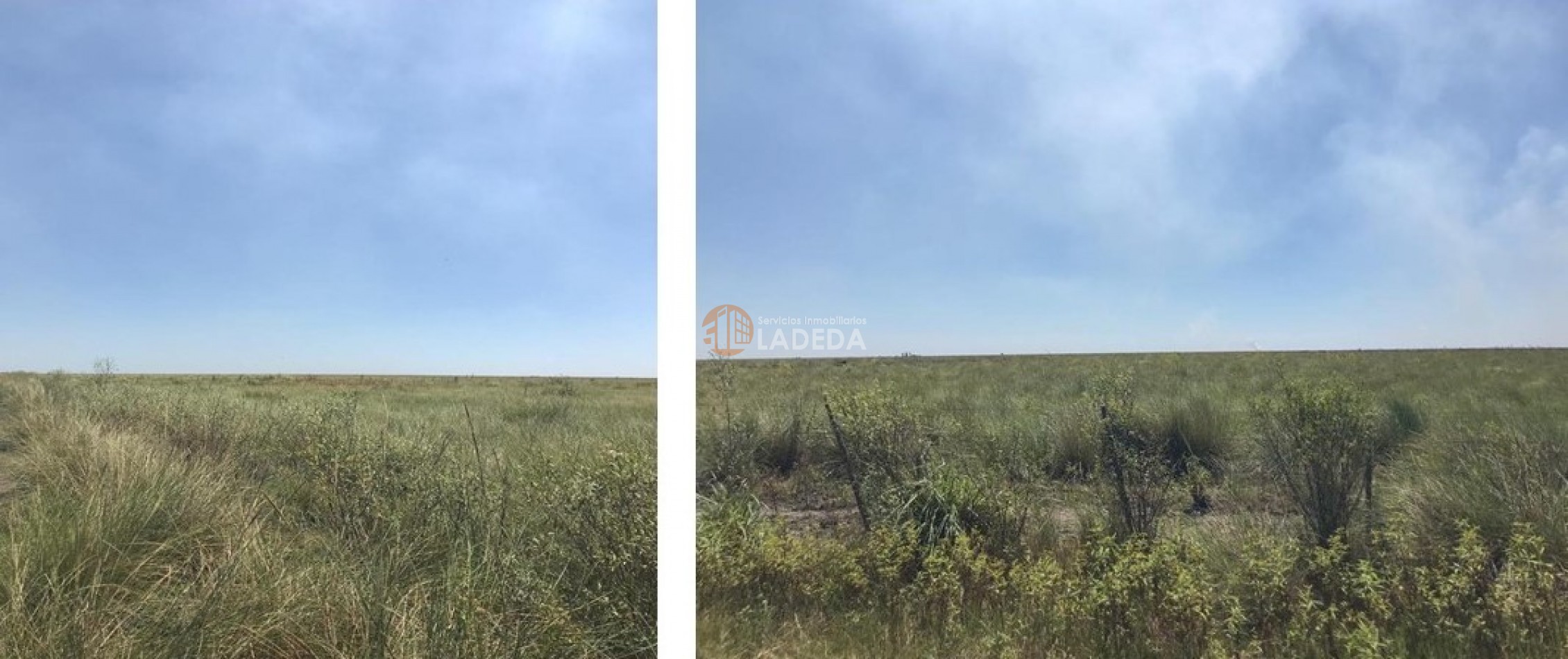 CAMPO PARA LA VENTA 