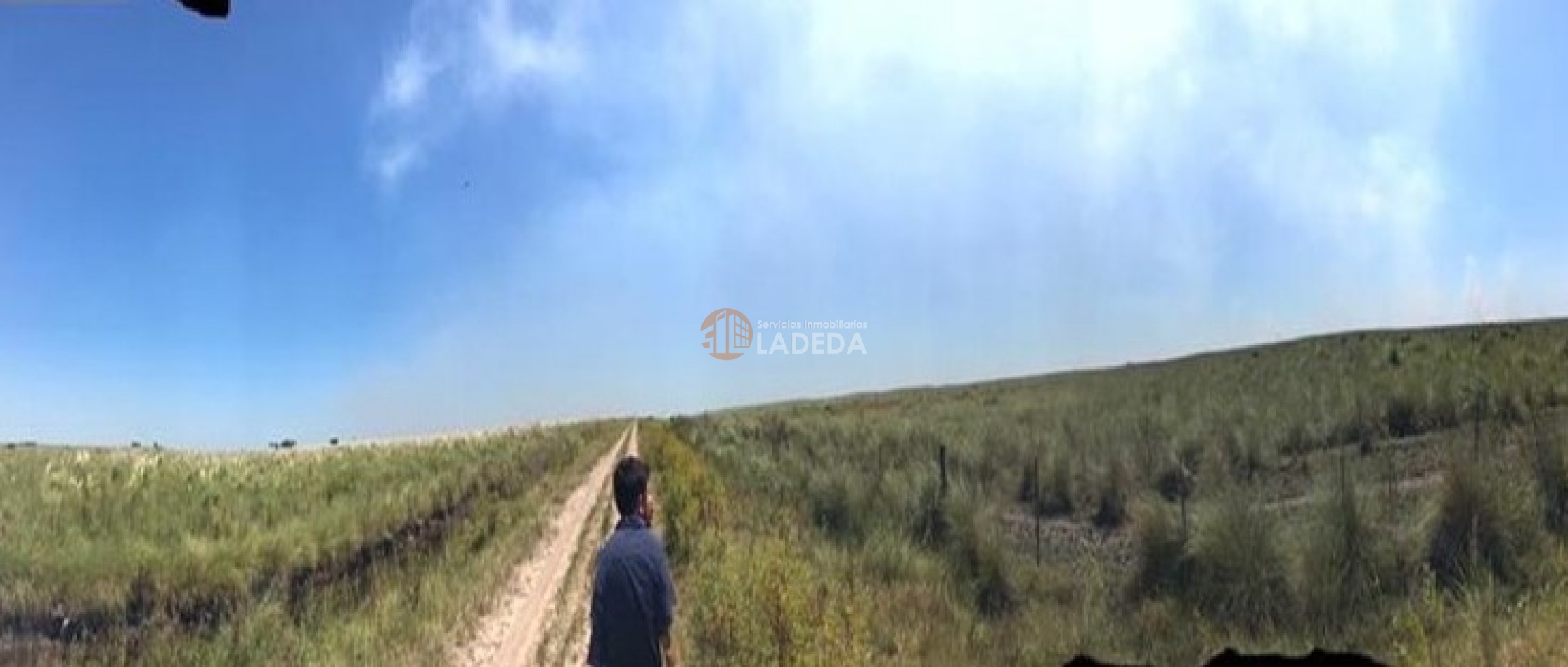 CAMPO PARA LA VENTA 