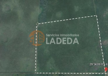 CAMPO PARA LA VENTA 